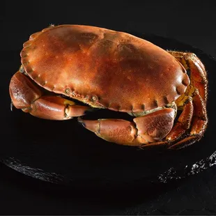a crab on a black plate