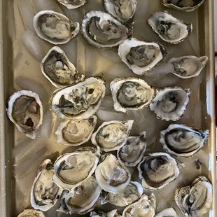 I shucked this whole tray myself!
