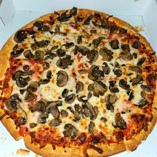 Medium Mushroom