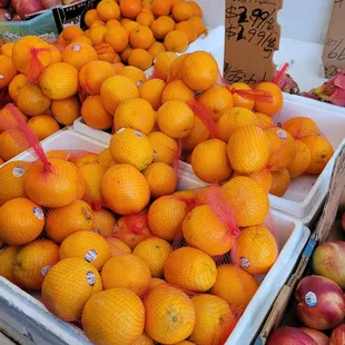 Apples, Oranges and Nectarines