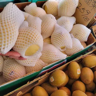 Asian Pears (top) and Kiwi fruit