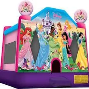 princess license jumper