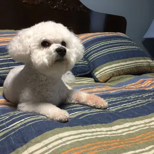 Archie's First Time Here