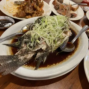 Steamed fish