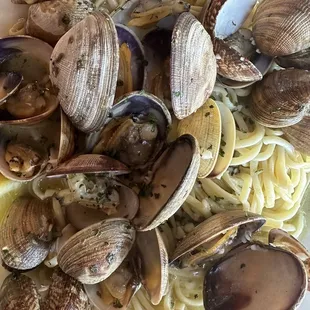 Linguini w/ fresh clams