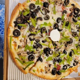 Vegetarian pizza, fantastic