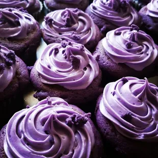 Ube Cupcakes