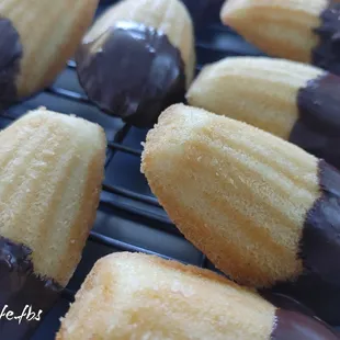 Madeleine dipped Milk Chocolate