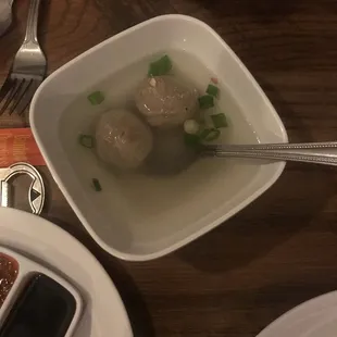 Meatball Soup