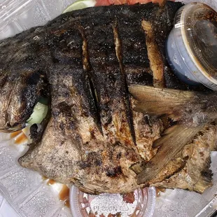 Grilled Pompano