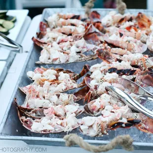 Chilled Lobster Tail