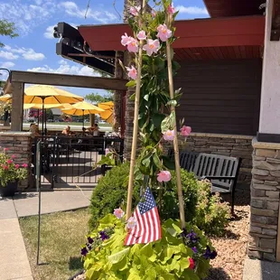 Outdoor patio in background