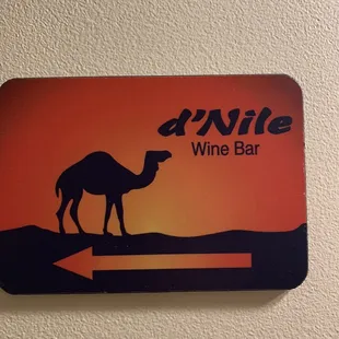 a camel in the desert