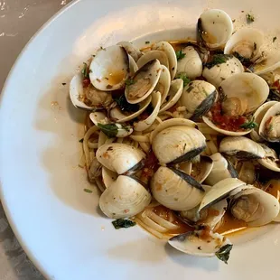 Clam Linguini Vongole Pasta