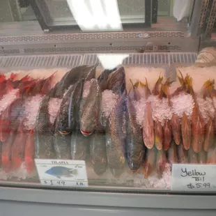 Beautiful fresh seafood.
Prices are 10/13/14.
