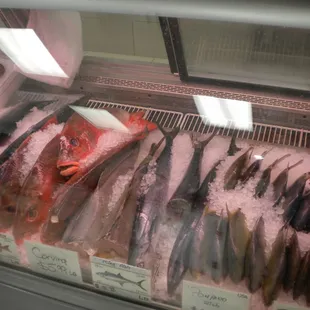 Big fish for the grill or the oven. Very friendly prices, too! 10/13/14