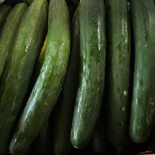 These cucumbers are so fresh! Love it! The service was excellent! So friendly and professional! Can't wait to pick up more!