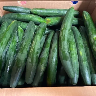 Freshness in a box! Thank you for another awesome box of cucumber! Sooooo fresh!!