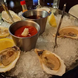 East Coast oysters