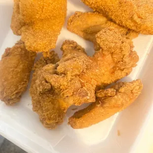 food, bbq chicken, chicken, bbq wings, chicken wings and fried chicken, fried chicken, poultry, fried chicken wings, chicken wings