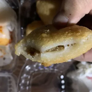 Meat Dumplings