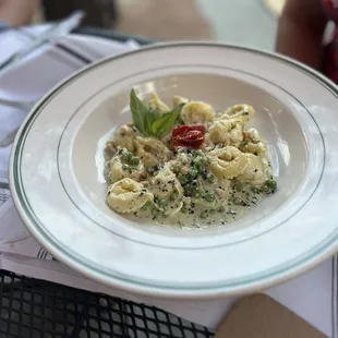 Tortellini con Pesto
