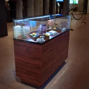 D2 Dispensary Cannabis Destination + Drive Thru&apos;s beautiful one-a-kind displays