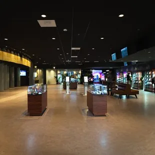 D2 Dispensary Cannabis Destination + Drive Thru is Arizona&apos;s Largest Dispensary