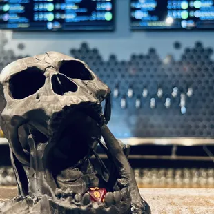a skull on a counter