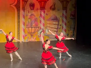 Livermore Ballet School