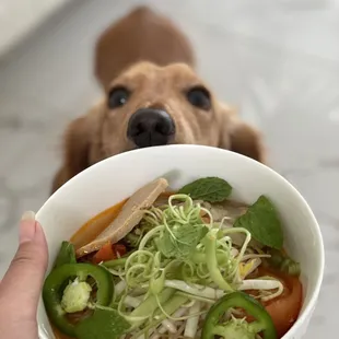 food, ramen and noodles
