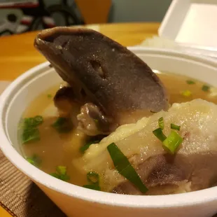 Looks like a hoof.