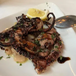 POLIPO 18 as of 4.2024