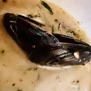 Muscles as appetizer