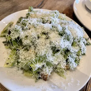 Summer Caesar