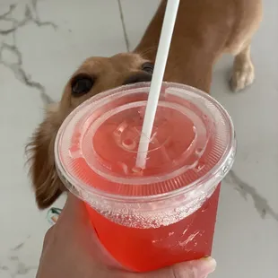 a person holding a plastic cup with a straw