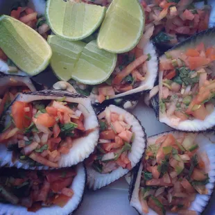 Blood Clams
