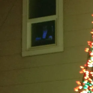 You might get a glimpse of Santa