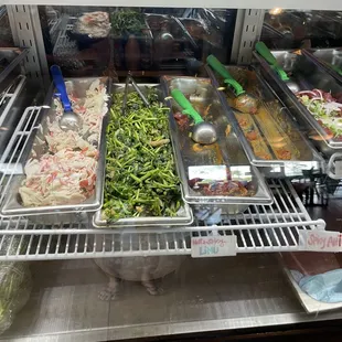 Selection on 11/6/24