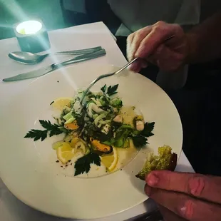 Seafood salad appetizer
