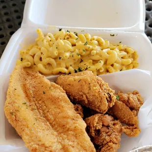 Fish and wing platter with Mac and cheese Taken 02.18.24