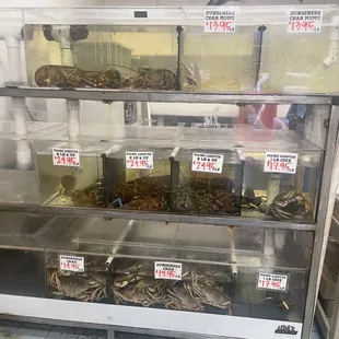 Da Seafood Store