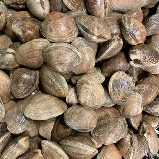 Manila Clams available in 3 &amp; 5 pound bags. Can hand pick your own as well.