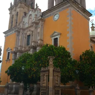 Lupita R.