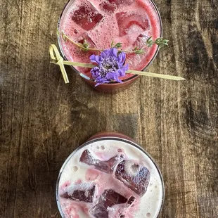 Sapphire and Mourning Cloak