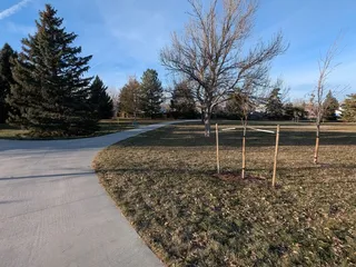 Garland Street Park