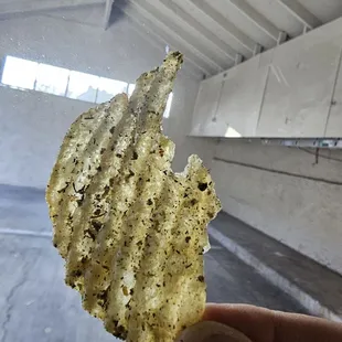 Seasoned well dill pickle chips