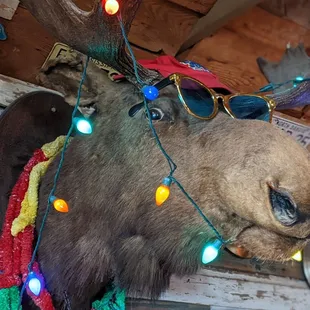 Daddy Joe has shades