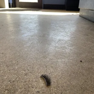 Eyelash on the floor