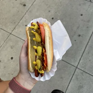 chicago dog